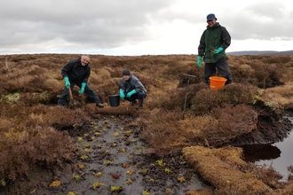 Northumberland Conservation